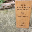 느림보상점 네이버블로그