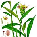 생강한의원 이미지