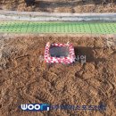 옥빛중학교 이미지