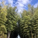 우리목장 | 제주 대한목장 홀리랜드, 아이와 함께 스냅 촬영 대만족 후기