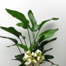 은율한의원 이미지