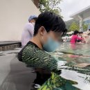 삼성훼밀리골프 | 휘닉스평창 워터파크 ‘블루캐니언’ 즐기기 (이용금액, 시설안내)
