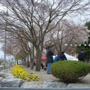 약수초교 이미지