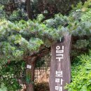 옛골 이미지