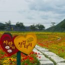백일홍 민박집 네이버블로그