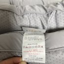 벨라지오 이미지