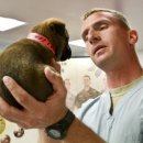 강동24시 SKY 동물의료센터 이미지