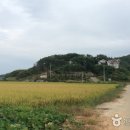 오션힐 이미지