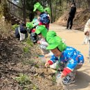 도담공원2 이미지