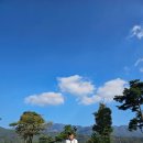 포레스트 골프연습장 이미지