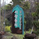 서광리-23 이미지