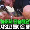 펭귄 DIN DIM의 분형일환, 지기망결, 각인효과, 분형연기 이미지