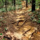 국사봉 지석묘군 이미지