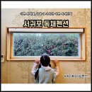 주홍민박 네이버블로그