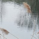 한천 마을회관 이미지