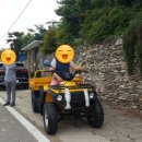 씨에이치팜 이미지