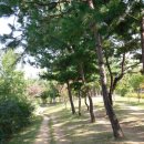 몽마르뜨공원 이미지