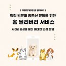 롱헤어 | 칠곡고양이분양 후회 없는 선택을 위한 체크리스트 | 브리티쉬롱헤어 실제분양후기