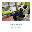 양평 아이와 가볼만한곳 곤충박물관 이용 후기