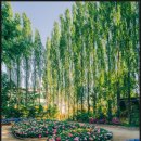 포포아일랜드 이미지