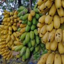 병건농장 이미지