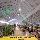 리프핏 | [용인 기흥]대형카페 어반리프,플랜트핏 방문 후기🌿