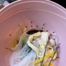 마라당 | 부산 사직동 마라당 사직야구장 마라탕 맛집 주차 및 재료 추천