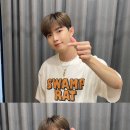 가지스테이 이미지