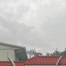 길성이백숙현도점 이미지