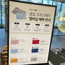 코코애견클럽 이미지