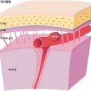 화진에너지 이미지