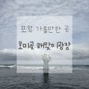 호미곶광장 | 포항 가볼만한 곳 | 호미곶 해맞이광장 상생의 손 | 여행 코스 추천