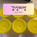 감성리빙 냉동밥용기 추천 촉촉한 햇반용기 전자레인지유리용기 사용 후기