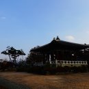 새천년생명의숲 이미지