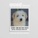 명전사 이미지