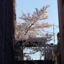 연봉공간장식 | 26년_4월.zip