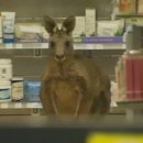 공항약국 이미지