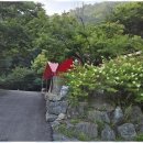 영월가자 펜션&캠핑장 | 영월애견캠핑장 영월가자 펜션과 캠핑장의 자연 속 쉼터 체험기