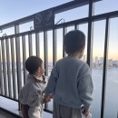 씨크루즈호텔속초 | 속초 아이랑 호텔 숙소 씨크루즈호텔속초 내돈내산 후기