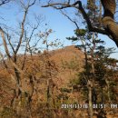 쇠돌농장 Daum카페