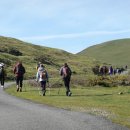 K행정사사무소 이미지