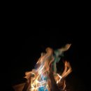 어반티지 글램핑 카라반 펜션 이미지