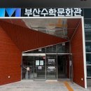 자유로운수학 | 부산육아기록 | 부산수학문화관 15개월아기 -> 22개월아기 후기