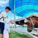 영천참품한우직판장 이미지