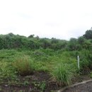 물메초등학교 이미지