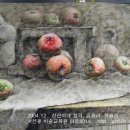 뎃생 수채화 이미지