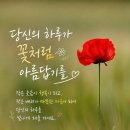 불안과 초조가 단명을 만듬니다 이미지