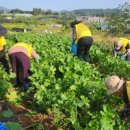 새마을회관경로식당 이미지