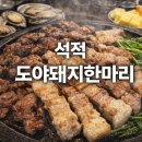 도야돼지한마리