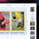 17 The Beak Book 이미지